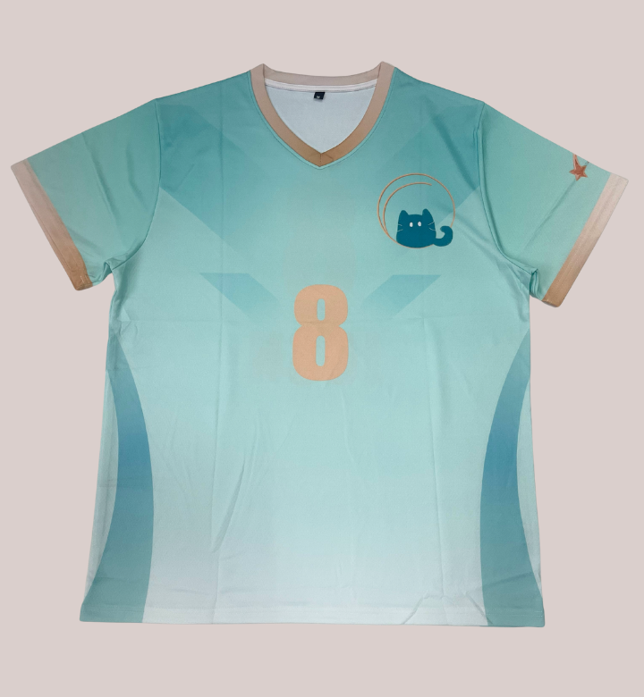 Team V-Neck Volleyball Jersey – Sleek, Sporty & Stylish