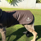 Dog Coat