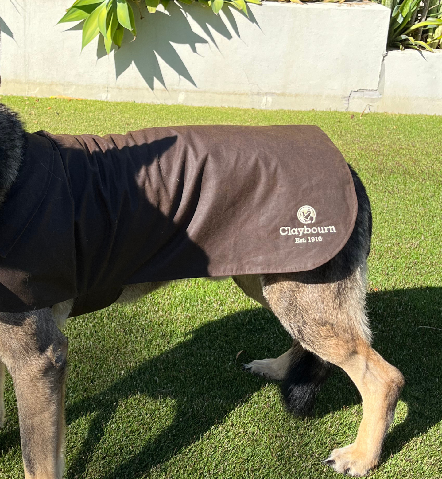 Dog Coat