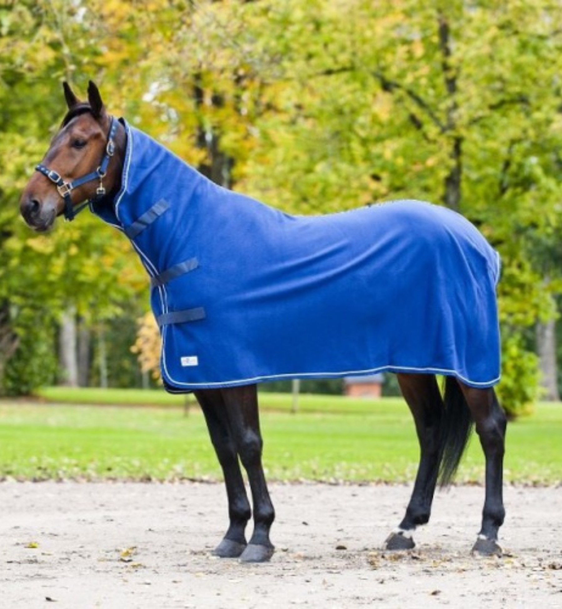 Premium Comfort Fleece Horse Rug – Claybourn Manufacturing Wholesale