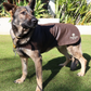 Dog Coat