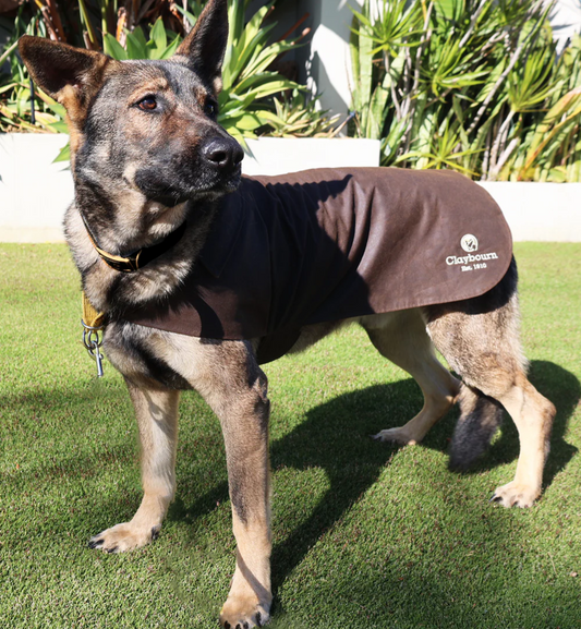 Dog Coat